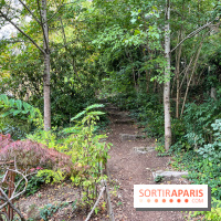 Le parc de l'Île Verte à Chatenay-Malabry - nos photos - image00565