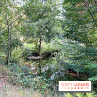 Le parc de l'Île Verte à Chatenay-Malabry - nos photos - image00545