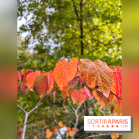 Le parc de l'Île Verte à Chatenay-Malabry - nos photos - image00549