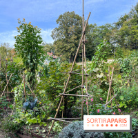 Le parc de l'Île Verte à Chatenay-Malabry - nos photos - image00539