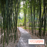 Le parc de l'Île Verte à Chatenay-Malabry - nos photos - image00540