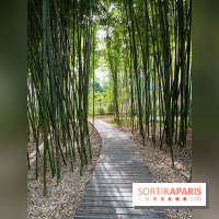 Le parc de l'Île Verte à Chatenay-Malabry - nos photos - image00541