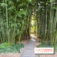 Le parc de l'Île Verte à Chatenay-Malabry - nos photos - image00542