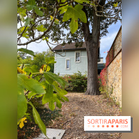 Le parc de l'Île Verte à Chatenay-Malabry - nos photos - image00533