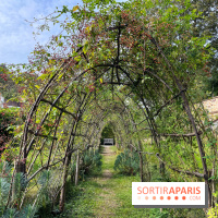 Le parc de l'Île Verte à Chatenay-Malabry - nos photos - image00535