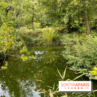 Le parc de l'Île Verte à Chatenay-Malabry - nos photos