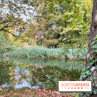 Le parc de l'Île Verte à Chatenay-Malabry - nos photos - image00514