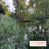 Le parc de l'Île Verte à Chatenay-Malabry - nos photos - image00516