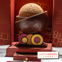 Les bûches de Noël 2023 et galettes 2024 de Pierre Hermé  -  A7C6041