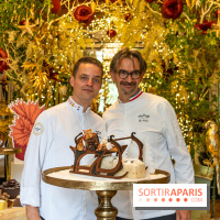 Bûches de Noël 2023 et galette 2024 de Lenôtre  - A7C0845