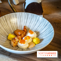 Bûches de Noël 2023 et galette 2024 de Lenôtre  - A7C0892