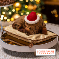 Bûche de Noël du Lutetia 2023 et galette des rois 2024 par Nicolas Guercio  - A7C0640