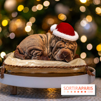 Bûche de Noël du Lutetia 2023 et galette des rois 2024 par Nicolas Guercio  - A7C0670