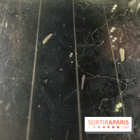 Explorer l'infiniment - nos photos de l'exposition au musée des Arts et Métiers - image00007