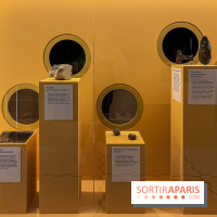 Explorer l'infiniment - nos photos de l'exposition au musée des Arts et Métiers - image00009