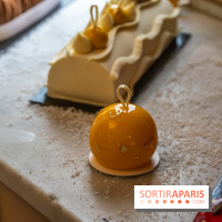 Bûche de Noël d'Angelina 2023 - A7C0416