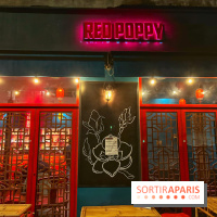 Red Poppy - IMG 6197