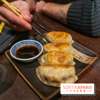 Red Poppy - IMG 6229