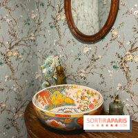 Red Poppy - IMG 6233