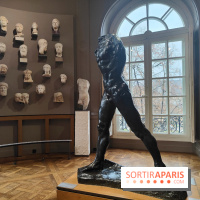 Le Musée Rodin, ses collections et son jardin