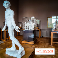 Le Musée Rodin, ses collections et son jardin