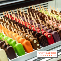 Salon du Chocolat de Paris 2023 - les photos -  A7C5091