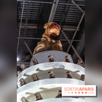 Salon du Chocolat de Paris 2023 - les photos -  A7C5959