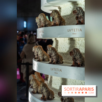 Salon du Chocolat de Paris 2023 - les photos