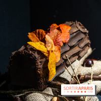 Salon du Chocolat de Paris 2023 - les photos -  A7C6009