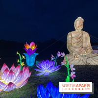 Thoiry Lumières Sauvages 2023 - 2024 - IMG 6284