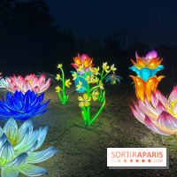 Thoiry Lumières Sauvages 2023 - 2024 - IMG 6285