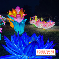 Thoiry Lumières Sauvages 2023 - 2024 - IMG 6288