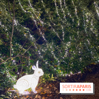 Thoiry Lumières Sauvages 2023 - 2024 - IMG 6312