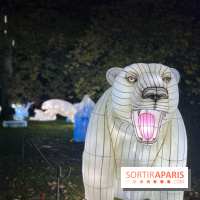 Thoiry Lumières Sauvages 2023 - 2024 - IMG 6313