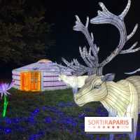 Thoiry Lumières Sauvages 2023 - 2024 - IMG 6325