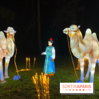 Thoiry Lumières Sauvages 2023 - 2024 - IMG 6330