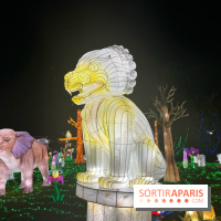 Thoiry Lumières Sauvages 2023 - 2024 - IMG 6342