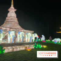 Thoiry Lumières Sauvages 2023 - 2024 - IMG 6347