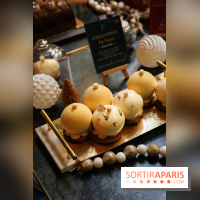 Les Bûches de Noël IG Bas des Belles Envies 2023 - IMG 2777