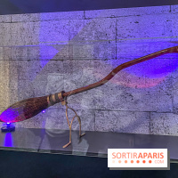 Paris Games Week 2023 - IMG 1585