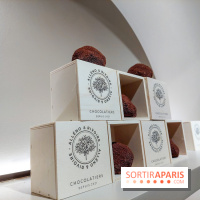 Bûche et chocolats de Noël 2023 signés Alléno & Rivoire - 20230922 100450