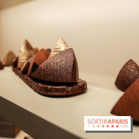 Bûche et chocolats de Noël 2023 signés Alléno & Rivoire - IMG 0978