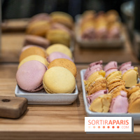 Les Bûches de Noël 2023, calendrier de l'Avent et galette des rois 2024 de Jardin Sucré -  A7C4381