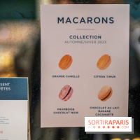 Les Bûches de Noël 2023, calendrier de l'Avent et galette des rois 2024 de Jardin Sucré -  A7C4382