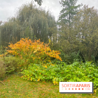 Dia de los Muertos au Jardin d'Acclimatation - image00008