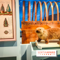 Le Musée de la Marine à Paris et ses collections permanentes