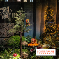 Inauguration des vitrines et décorations de Noël du BHV Marais à Paris 2023