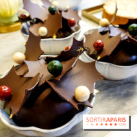 Bûches de Noël 2023 de l'Eclair de Génie