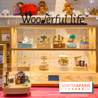 Les vitrines de Noël 2023 de La Samaritaine - image00105