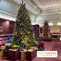 Les vitrines et décors de Noël 2023 du Bon Marché Rive Gauche